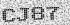 VeriWord